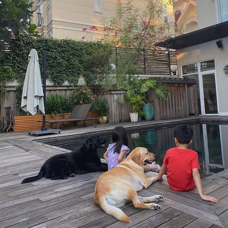 Cuộc sống của Tăng Thanh Hà và ông xã doanh nhân trong biệt thự triệu đô - Ảnh 11. Cuộc sống của Tăng Thanh Hà và ông xã doanh nhân trong biệt thự triệu đô - Ảnh 11.