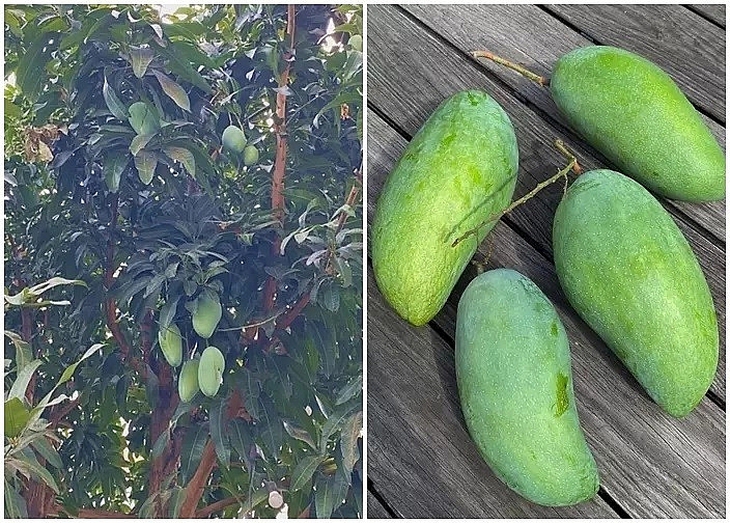 Cuộc sống của Tăng Thanh Hà và ông xã doanh nhân trong biệt thự triệu đô - Ảnh 13. Cuộc sống của Tăng Thanh Hà và ông xã doanh nhân trong biệt thự triệu đô - Ảnh 13.