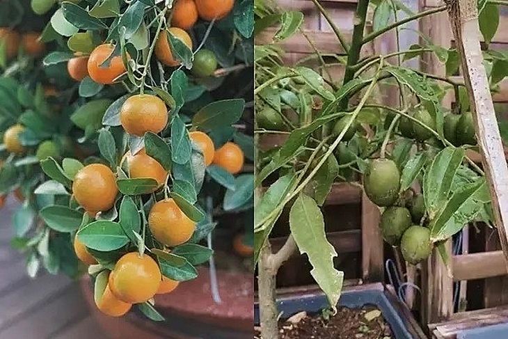 Cuộc sống của Tăng Thanh Hà và ông xã doanh nhân trong biệt thự triệu đô - Ảnh 14. Cuộc sống của Tăng Thanh Hà và ông xã doanh nhân trong biệt thự triệu đô - Ảnh 14.