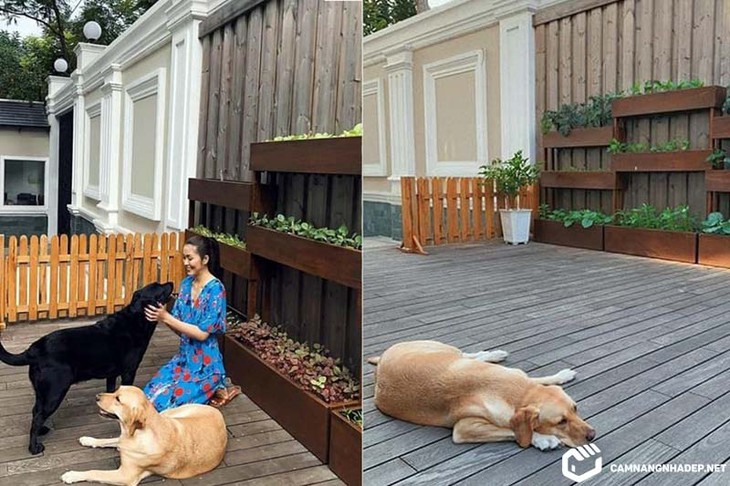 Cuộc sống của Tăng Thanh Hà và ông xã doanh nhân trong biệt thự triệu đô - Ảnh 22. Cuộc sống của Tăng Thanh Hà và ông xã doanh nhân trong biệt thự triệu đô - Ảnh 22.