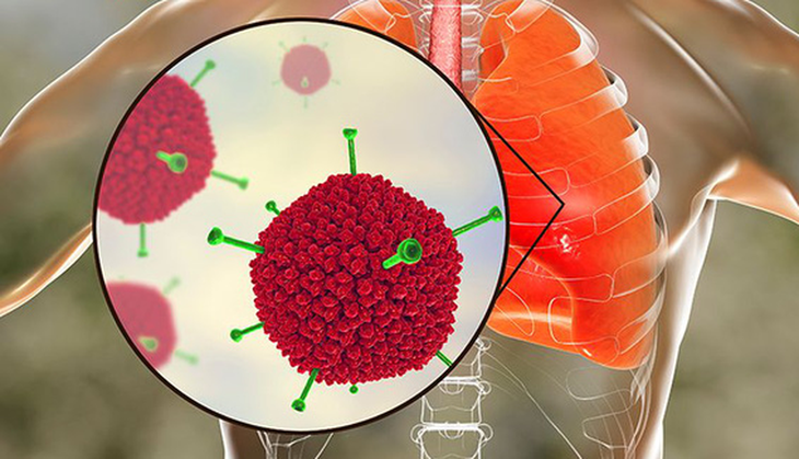 "Chốt chặn" ngăn ngừa virus, vi khuẩn xâm nhập - Ảnh 1.
