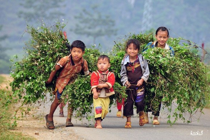 Nhiều nơi vùng dân tộc thiểu số có đến 70% trẻ chưa đảm bảo dinh dưỡng - Ảnh 3.
