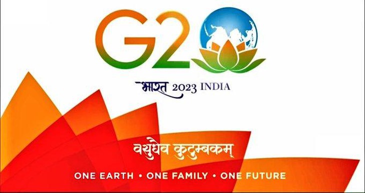 Ý nghĩa của hoa sen trong logo G20 Ấn Độ 2023 - Ảnh 2.