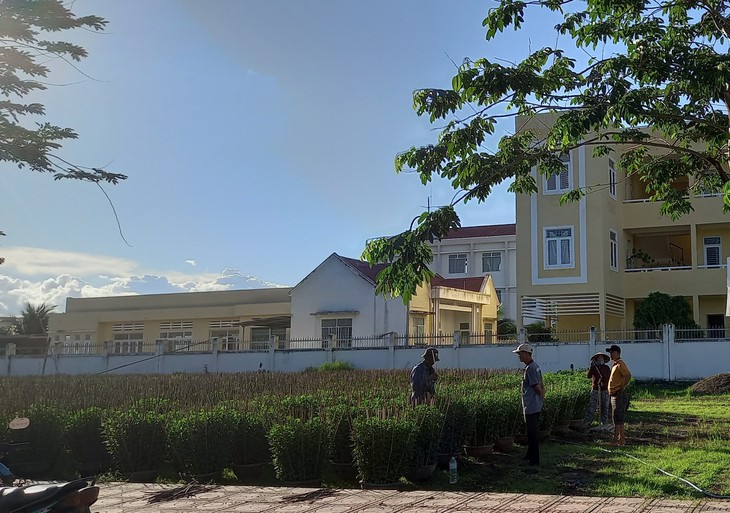 Làng hoa xứ Trầm Hương tất bật lo vụ hoa Tết - Ảnh 2.