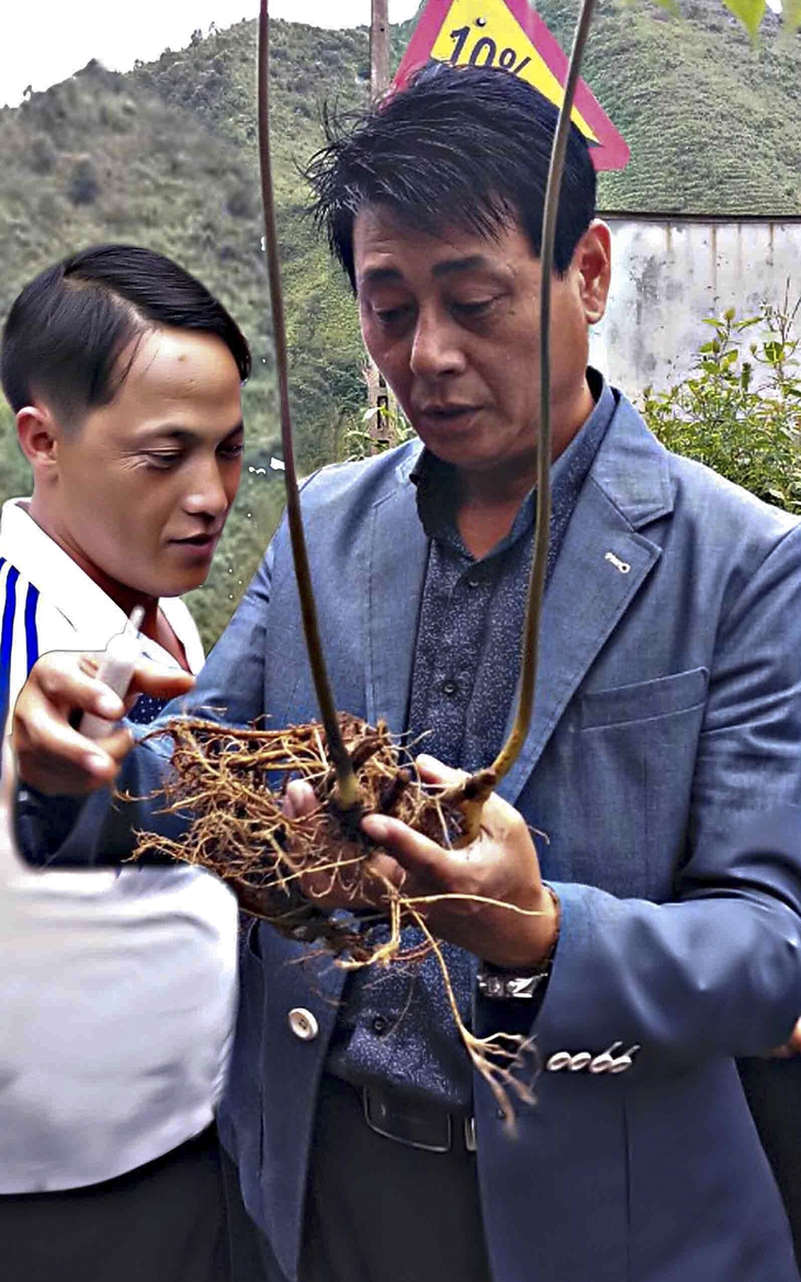 Lần đầu tiên tỉnh Lai Châu tổ chức hội chợ Sâm - Ảnh 2. Lần đầu tiên tỉnh Lai Châu tổ chức hội chợ Sâm - Ảnh 2.