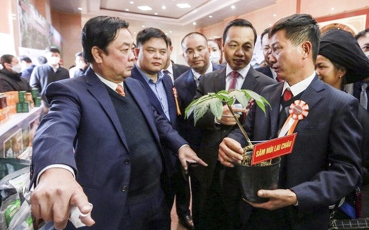 Lần đầu tiên tỉnh Lai Châu tổ chức hội chợ Sâm - Ảnh 4. Lần đầu tiên tỉnh Lai Châu tổ chức hội chợ Sâm - Ảnh 4.