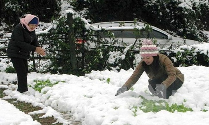 Không khí lạnh tràn về, vùng núi có có băng giá và mưa tuyết - Ảnh 2. Không khí lạnh tràn về, vùng núi có có băng giá và mưa tuyết - Ảnh 2.