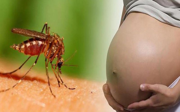 Mang thai bị sốt xuất huyết, phải làm sao?