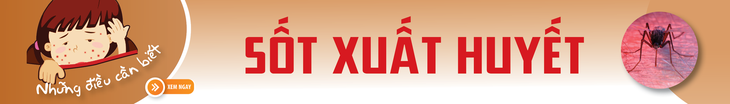 Mang thai bị sốt xuất huyết, phải làm sao? - Ảnh 1.
