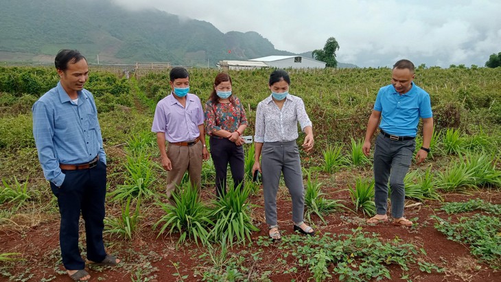Giá trị khoa học của các bài thuốc y dược học cổ truyền - Ảnh 1.