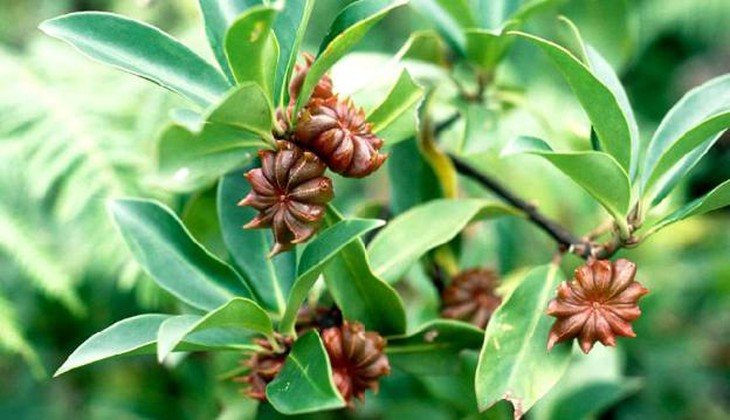 photo-1670943200394