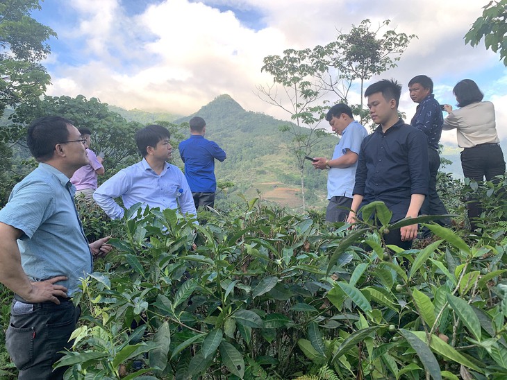 Việt Nam là quốc gia giàu có về tài nguyên dược liệu - Ảnh 3. Việt Nam là quốc gia giàu có về tài nguyên dược liệu - Ảnh 3.