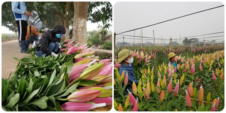 Nhiều người xắn tay đi buôn, "hốt bạc" tháng cận Tết - Ảnh 1.