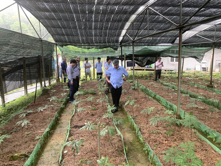 Giá trị khoa học của bảo tồn tại chỗ các loài dược liệu - Ảnh 3.