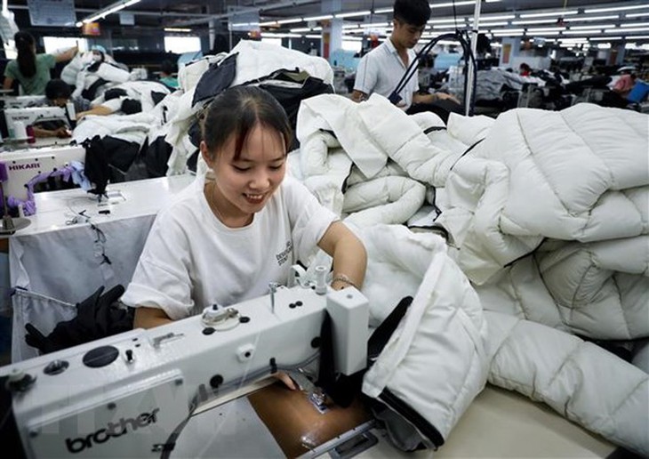 Dấu ấn xuất nhập khẩu hàng hóa Việt Nam chạm mốc 700 tỷ USD - Ảnh 2.