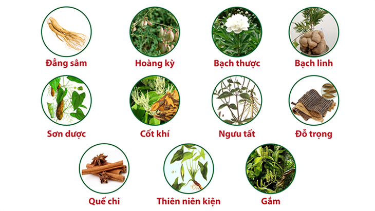 Ra mắt sản phẩm hỗ trợ giảm đau do viêm khớp, thoái hóa khớp từ thảo dược - Ảnh 2.