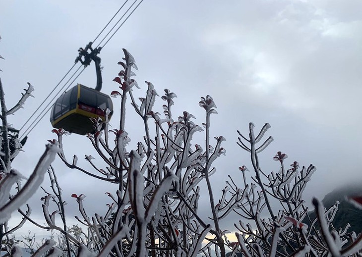 Hình ảnh băng giá, sương muối phủ trắng đỉnh Fansipan ở Lào Cai - Ảnh 1.