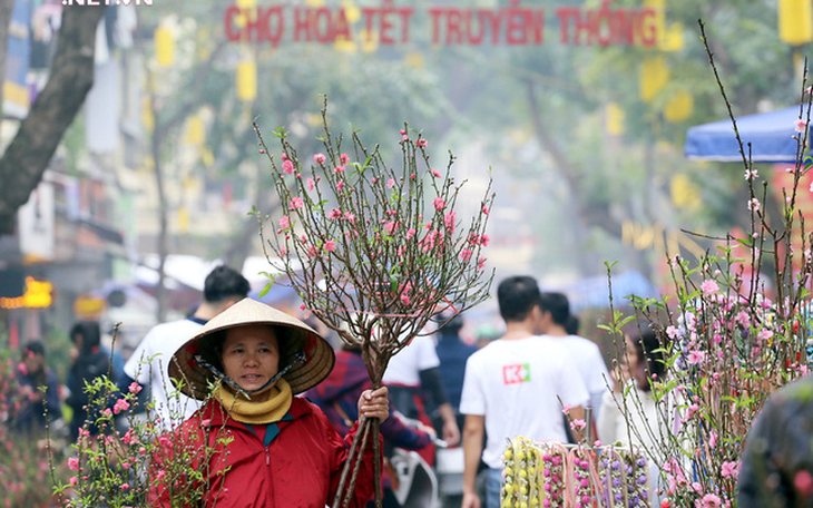 Hà Nội sẽ tổ chức 91 điểm chợ hoa phục vụ Tết Nguyên đán Quý Mão 2023