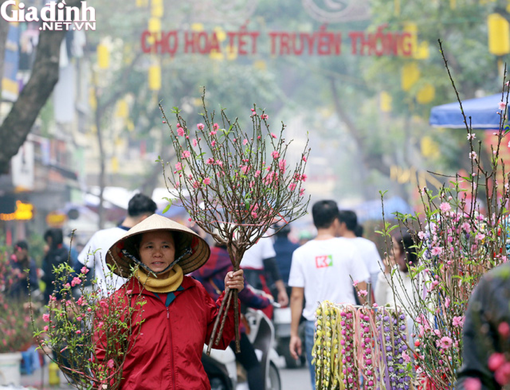 Hà Nội sẽ tổ chức 91 điểm chợ hoa phục vụ Tết Nguyên đán Quý Mão 2023 - Ảnh 1. Hà Nội sẽ tổ chức 91 điểm chợ hoa phục vụ Tết Nguyên đán Quý Mão 2023 - Ảnh 1.
