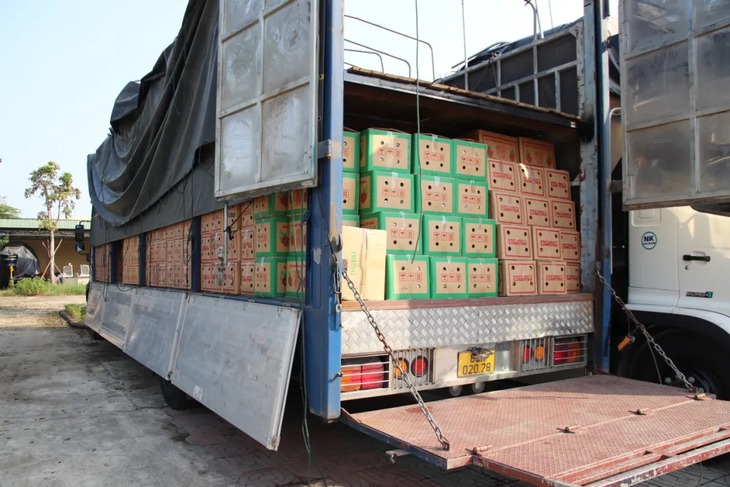 Số rượu ngoại không có nguồn gốc xuất xứ này được vận chuyển trên xe tải và ngụy trang trong các thùng trái cây. Số rượu ngoại không có nguồn gốc xuất xứ này được vận chuyển trên xe tải và ngụy trang trong các thùng trái cây.