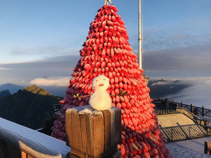 Đón Giáng sinh với những cây thông Noel "độc, lạ" nhất Việt Nam - Ảnh 2.