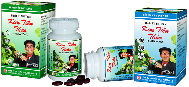Kim tiền thảo – dược liệu quý cho người bị sỏi thận - Ảnh 2.