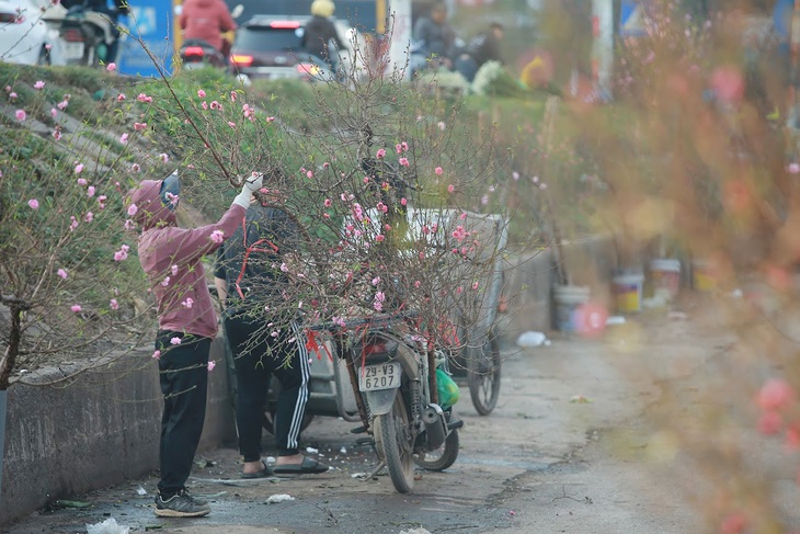 Hà Nội sẽ có 91 điểm chợ hoa xuân phục vụ Tết Nguyên đán 2023 - Ảnh 2. Hà Nội sẽ có 91 điểm chợ hoa xuân phục vụ Tết Nguyên đán 2023 - Ảnh 2.