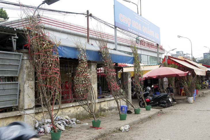 Chỉ bán hoa mỗi dịp Tết, người đàn ông ngồi ở cổng chợ hoa Quảng Bá thu hàng trăm triệu đồng mỗi năm - Ảnh 2.