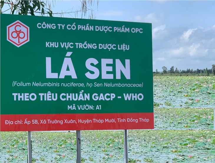 Mất ngủ, khó ngủ - Bệnh của thời đại 4.0 - Ảnh 2. Mất ngủ, khó ngủ - Bệnh của thời đại 4.0 - Ảnh 2.