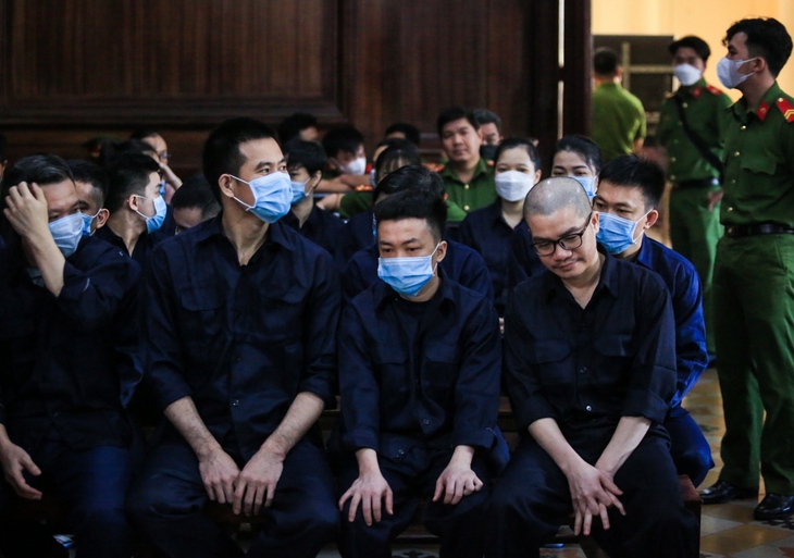 Nguyễn Thái Luyện lĩnh án tù chung thân - Ảnh 2.
