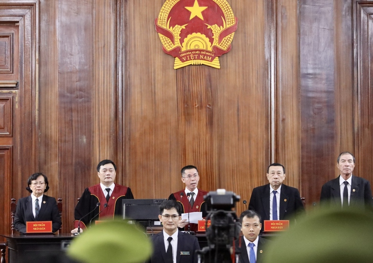 Nguyễn Thái Luyện lĩnh án tù chung thân - Ảnh 3.