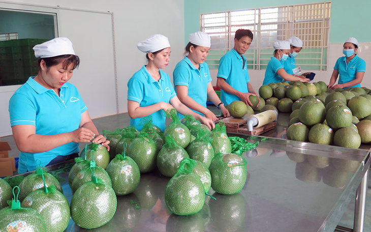 Việt Nam xuất khẩu nông sản năm 2022 lập kỷ lục mới - Ảnh 1. Việt Nam xuất khẩu nông sản năm 2022 lập kỷ lục mới - Ảnh 1.