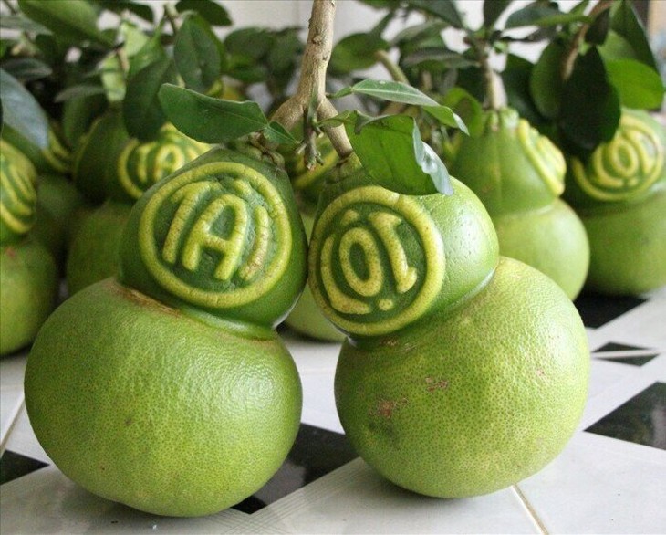 Những lưu ý khi chọn trái cây tạo hình chưng Tết - Ảnh 3. Những lưu ý khi chọn trái cây tạo hình chưng Tết - Ảnh 3.