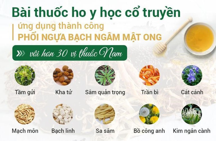 Chữa ho bằng bài thuốc Đông y có thành phần từ phổi ngựa bạch - Ảnh 1.