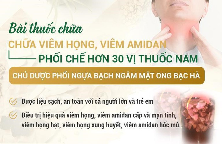 Bài thuốc chữa viêm họng, viêm amidan bằng Đông y kết hợp uống và ngậm - Ảnh 3.