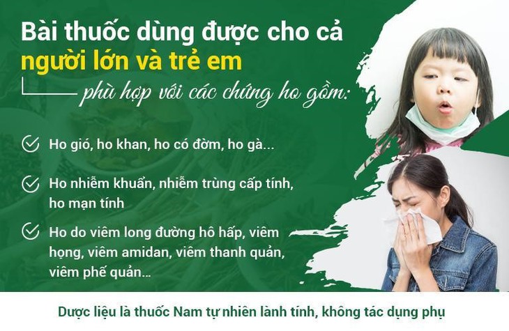 Chữa ho bằng bài thuốc Đông y có thành phần từ phổi ngựa bạch - Ảnh 3.