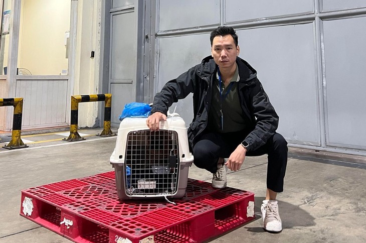 Ly kỳ nhập khẩu chó cảnh, người chơi có thể mất trắng hàng trăm triệu đồng - Ảnh 1.