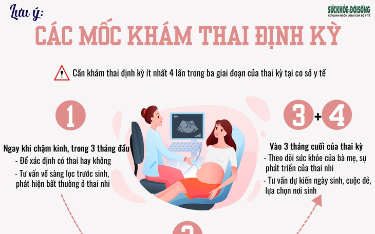 [Infographic] - Các mốc khám thai định kỳ cần lưu ý