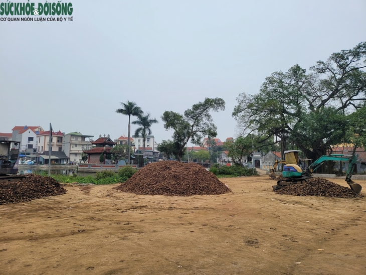 Làng nghề miến Dương Liễu tất bật cho vụ Tết - Ảnh 1.