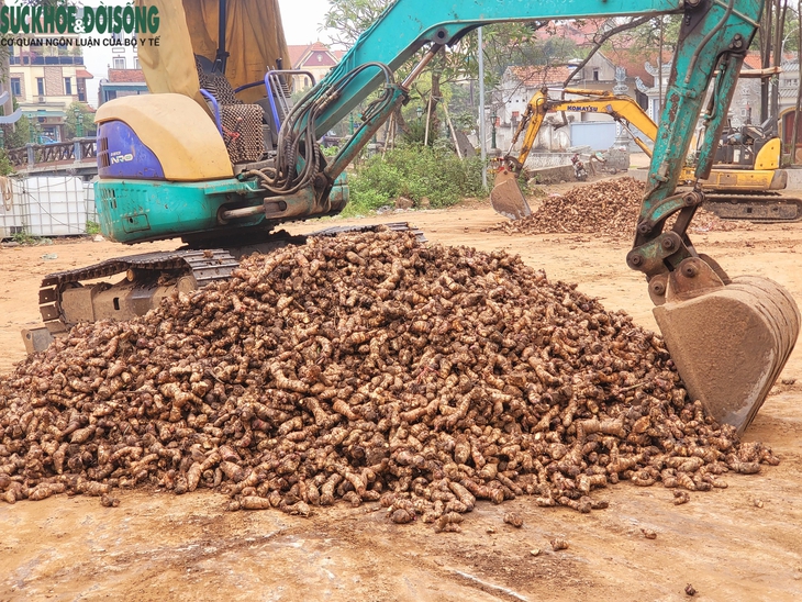 Làng nghề miến Dương Liễu tất bật cho vụ Tết - Ảnh 2.