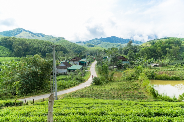 Khởi sắc trên vùng đất tái định cư - Ảnh 1.