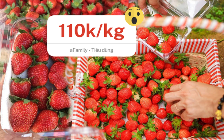 Dâu tây Mộc Châu "nhuộm đỏ" chợ mạng, loại rẻ nhất giá chỉ 110.000 đồng/kg - Ảnh 1.