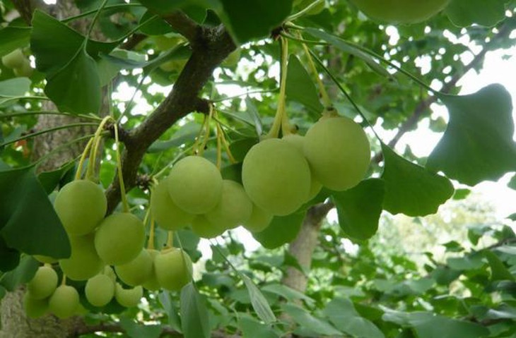 photo-1644562180772