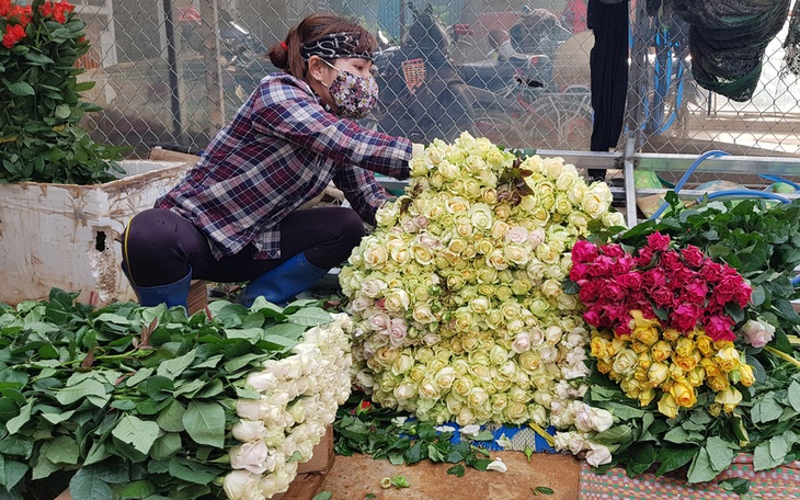 Sát ngày Valentine thị trường hoa tươi bật đà tăng chóng mặt, giá hoa hồng tăng gấp 4 lần - Ảnh 1.