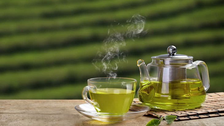Chế độ ăn có nguồn gốc thực vật giúp giảm nguy cơ tái phát ung thư vú - Ảnh 7.