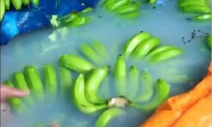 Tiểu thương chỉ điểm cách nhận biết chuối nhúng hóa chất để ép chín "dễ như trở bàn tay" - Ảnh 1. Tiểu thương chỉ điểm cách nhận biết chuối nhúng hóa chất để ép chín "dễ như trở bàn tay" - Ảnh 1.