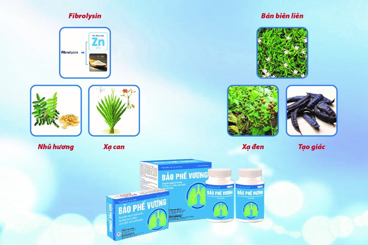 Cải thiện triệu chứng xơ phổi hậu đại dịch nhờ hoạt chất Fibrolysin - Ảnh 3.