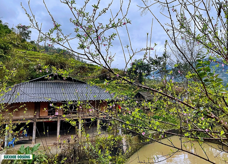 150 Cựu chiến binh tham gia đi bộ trong chương trình “Hành quân theo bước chân anh” - Ảnh 6.