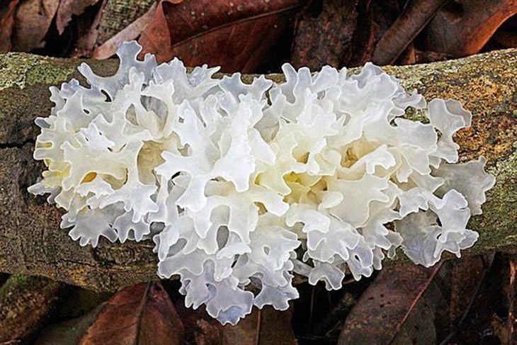 photo-1645201075563