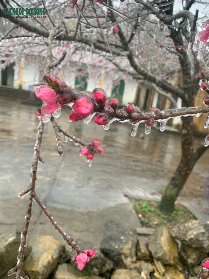 Hà Giang - Ảnh 2. Hà Giang - Ảnh 2.